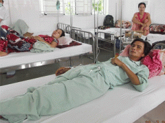 Ảnh bìa bài viết 309956