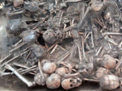 Ảnh bìa bài viết 310080