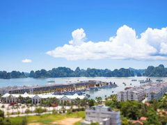 Ảnh bìa bài viết 310336
