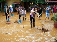 Ảnh bìa bài viết 310285