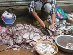 Ảnh bìa bài viết 310286