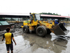 Ảnh bìa bài viết 310359
