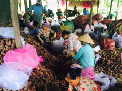 Ảnh bìa bài viết 310470