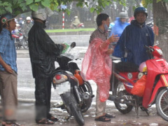 Ảnh bìa bài viết 310498