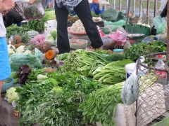 Ảnh bìa bài viết 310453