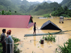 Ảnh bìa bài viết 310741