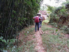 Ảnh bìa bài viết 310693