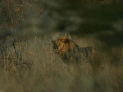 Ảnh bìa bài viết 310717