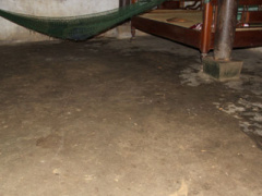 Ảnh bìa bài viết 310847