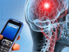 Ảnh bìa bài viết 310806