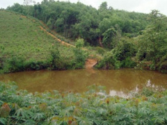 Ảnh bìa bài viết 311002