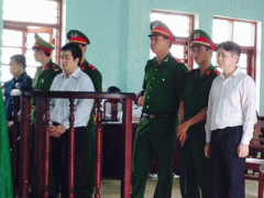 Ảnh bìa bài viết 311084