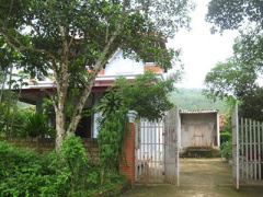 Ảnh bìa bài viết 311054