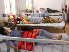Ảnh bìa bài viết 311069
