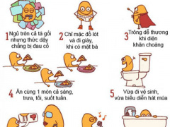 Ảnh bìa bài viết 311270
