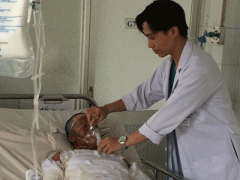 Ảnh bìa bài viết 311279
