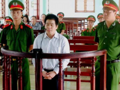 Ảnh bìa bài viết 311431
