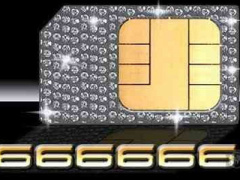Ảnh bìa bài viết 311334