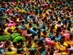 Ảnh bìa bài viết 311391