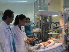 Ảnh bìa bài viết 311554