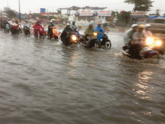 Ảnh bìa bài viết 311678