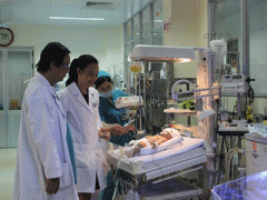 Ảnh bìa bài viết 311692