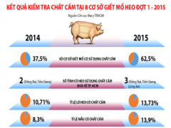 Ảnh bìa bài viết 311779