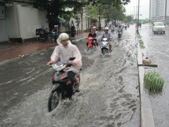 Ảnh bìa bài viết 311863