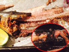 Ảnh bìa bài viết 311800