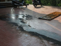 Ảnh bìa bài viết 311946