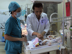Ảnh bìa bài viết 312049