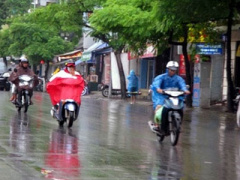 Ảnh bìa bài viết 312080