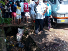 Ảnh bìa bài viết 312199