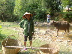 Ảnh bìa bài viết 312267
