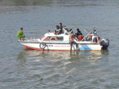Ảnh bìa bài viết 312332