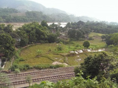 Ảnh bìa bài viết 312335