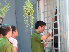 Ảnh bìa bài viết 312376