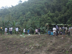 Ảnh bìa bài viết 312493