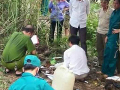 Ảnh bìa bài viết 312544