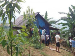 Ảnh bìa bài viết 312461