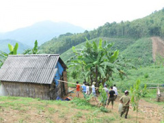 Ảnh bìa bài viết 312585