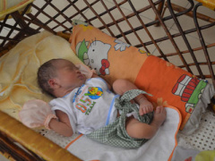 Ảnh bìa bài viết 312654