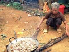 Ảnh bìa bài viết 312779