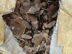 Ảnh bìa bài viết 312805