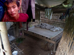 Ảnh bìa bài viết 312690