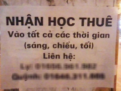 Ảnh bìa bài viết 312957
