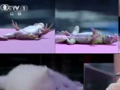 Ảnh bìa bài viết 312885