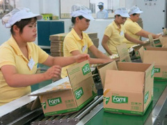 Ảnh bìa bài viết 312814