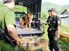 Ảnh bìa bài viết 312898