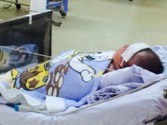 Ảnh bìa bài viết 313104